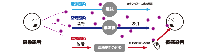 コロナウィルス感染経路